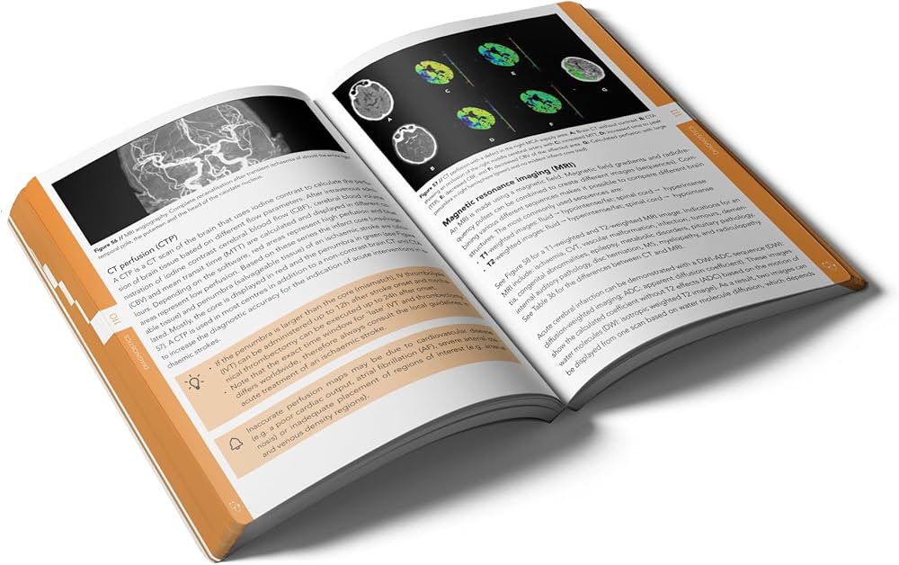 Pocket Neurology - Image 3