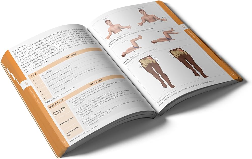 Pocket Neurology - Image 2